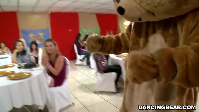 Häng Med På Festligheterna Med Den Välkända Dancing Bear I En Orgie Av Kul!