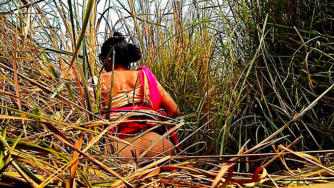 Hd-Video Van De Seksuele Ontmoeting Van Een Indiase Huisvrouw In De Buitenlucht In Het Veld